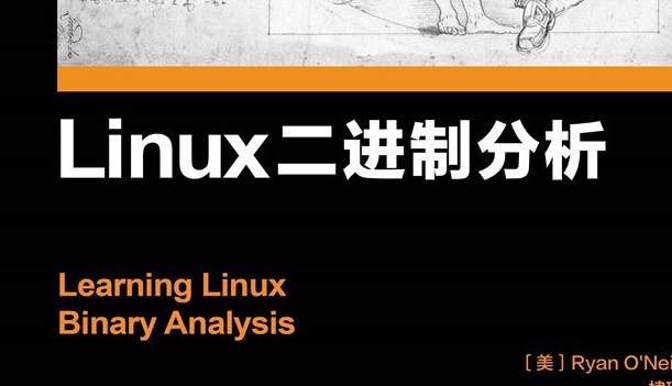 Linux二进制分析