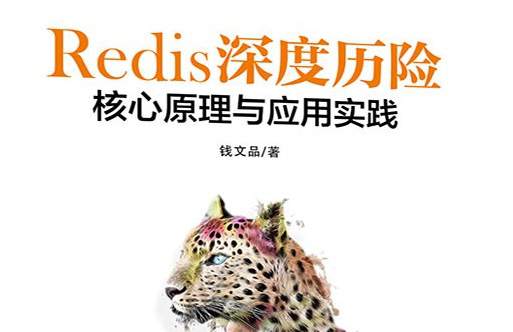 Redis深度历险：核心原理和应用实践